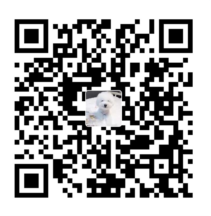 李少颖（persilee） WeChat Pay